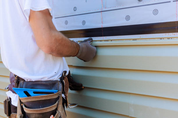 Best Vinyl Siding Installation  in Nroe City, MO
